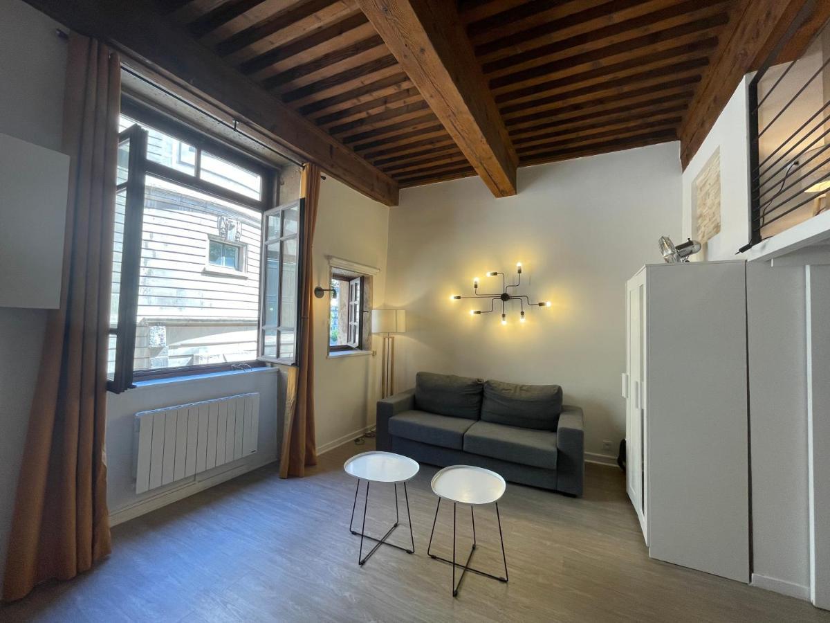 Appartement Cosy Au Coeur Du Vieux 里昂 外观 照片